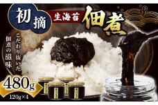 初摘 生海苔 佃煮 120g×4 | 魚貝類 海産物 海の幸 海苔 のり 海苔の佃煮 熊本県 玉名市
