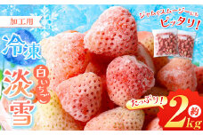 冷凍 白 いちご 淡雪 約 2kg | 果物 フルーツ 苺 イチゴ スムージー ジャム 加工用 夏 アイス