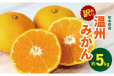 訳あり 熊本県産 温州みかん 約 5kg | 果物 くだもの フルーツ 柑橘 柑橘類 みかん ミカン 温州 大小混合 熊本県 玉名市