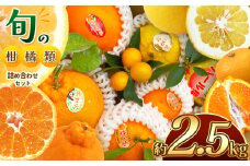 旬の柑橘類詰め合わせセット 約2.5kg 水本オレンジガーデン | 果物 くだもの フルーツ 柑橘類 みかん ミカン 熊本県 玉名市 旬 ざっかん スイーツ 詰め合わせ 産地直送 家庭用