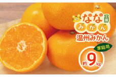 【 家庭用 】  温州みかん 9kg | フルーツ 果物 くだもの 柑橘 柑橘類 みかん ミカン 温州みかん 温州ミカン 熊本県 玉名市