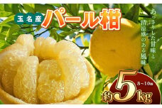 パール柑 熊本 玉名産 約5kg 水本オレンジガーデン | フルーツ 果物 くだもの 柑橘 柑橘類 ミカン みかん パール柑 熊本県 玉名市