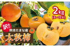 訳あり 太秋柿 約2kg | フルーツ 果物 くだもの 柿 かき カキ 熊本県 玉名市