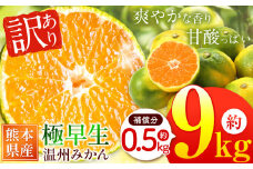 訳あり 熊本県産 温州みかん 極早生 約 9kg +約 0.5kg (補償分）| フルーツ 果物 くだもの 柑橘 柑橘類 みかん ミカン 蜜柑 ご家庭用 熊本県 玉名市 みかん みかん みかん