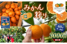 みかん狩り 収穫体験 （ みかん60分食べ放題 ） 3000円割引券 水本オレンジガーデン | みかん狩り 食べ放題 割引券 チケット イベント 極早 生早生 金峰 不知火 せとか バーべキュー 熊本県 玉名市