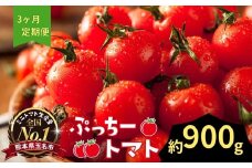 ぷっちートマト ミニトマト 900g×3回 定期便 | 野菜 やさい ミニトマト ミニ とまと トマト 900g 3回 定期便 リコピン 熊本県 玉名市