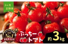 ぷっちートマト ミニトマト 3kg×3回 定期便 | 野菜 やさい ミニトマト ミニ とまと トマト 3kg 3回 定期便 リコピン 熊本県 玉名市