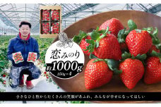 選べる3種類 イチゴ 約1000g 恋みのり | フルーツ 果物 くだもの イチゴ いちご 苺 熊本県 玉名市