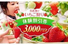 いちご狩り体験割引券 | イベント チケット いちご いちご狩り 体験型 3000円 割引券 収穫 熊本県 玉名市
