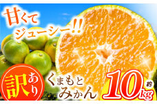 訳あり くまもと みかん 約 10kg 【 10月 ～ 11月上旬頃 発送 】 | 果物 みかん くだもの みかん フルーツ みかん 柑橘 みかん 柑橘類 みかん ミカン 家庭用 みかん 熊本県 みかん 玉名市 みかん