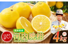 【 訳あり 】 ノナカ柑橘農園 河内晩柑 4kg ｜ 果物 くだもの フルーツ 柑橘 柑橘類 河内晩柑 和製グレープフルーツ 熊本県 玉名市