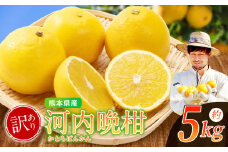 【 訳あり 】 ノナカ柑橘農園 河内晩柑 5kg ｜ 果物 くだもの フルーツ 柑橘 柑橘類 河内晩柑 和製グレープフルーツ 熊本県 玉名市