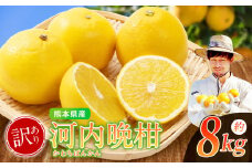【 訳あり 】 ノナカ柑橘農園 河内晩柑 8kg ｜ 果物 くだもの フルーツ 柑橘 柑橘類 河内晩柑 和製グレープフルーツ 熊本県 玉名市