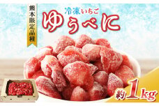 冷凍 いちご  ゆうべに 約 1kg ｜ フルーツ 果物 シャーベット アイス イチゴ いちご 苺 赤いちご 熊本県 玉名市