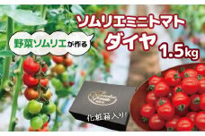 ソムリエミニトマト・ダイヤ（ 1.5kg ） | 野菜 やさい トマト とまと 銀賞 熊本県 玉名市