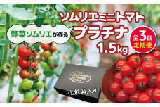 【 定期便 】ソムリエミニトマト「 プラチナ 」 1.5kg × 3カ月 | 野菜 やさい トマト とまと 銀賞 熊本県 玉名市