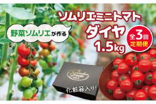 【 定期便 】ソムリエミニトマト「 ダイヤ 」 1.5kg × 3カ月 | 野菜 やさい トマト とまと 銀賞 熊本県 玉名市