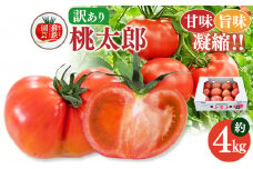 ご家庭用 トマト 桃太郎 約 4kg | やさい 野菜 とまと トマト 桃太郎 家庭用 熊本県 玉名市