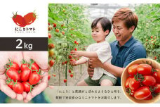 にこりトマト 2kg ｜ やさい 野菜 トマト ミニトマト アイコ 2kg 熊本県 玉名市									
