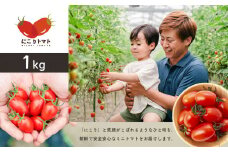 にこりトマト 1kg ｜ やさい 野菜 トマト ミニトマト アイコ 熊本県 玉名市															