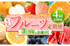 【 定期便 4回 】 3ヵ月毎にお届け！プチっと 堪能 ！ 人気 フルーツ （ いちご 白いちご みかん 不知火 スイカ ぶどう 梨 柿 果物 ）| 果物 くだもの フルーツ 定期 熊本県 玉名市