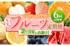 【 定期便 6回 】 2ヵ月毎にお届け！プチっと 堪能 ！ 人気 フルーツ （ いちご 白いちご みかん 不知火 スイカ ぶどう 梨 柿 果物 ） | 果物 くだもの フルーツ 定期 熊本県 玉名市