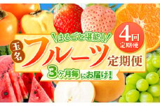 【 定期便 4回 】 3ヵ月毎にお届け！まるごと 堪能 ！ 人気 フルーツ （ いちご 白いちご みかん 不知火 デコポン スイカ メロン ぶどう シャインマスカット 梨 柿 果物 ） | 果物 くだもの フルーツ 定期 熊本県 玉名市