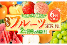【 定期便 6回 】 2ヵ月毎にお届け！まるごと 堪能 ！ 人気 フルーツ （ いちご 白いちご みかん 不知火 デコポン スイカ メロン ぶどう シャインマスカット 梨 柿 果物 ） | 果物 くだもの フルーツ 定期 熊本県 玉名市