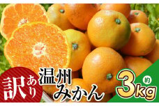 訳あり 温州 みかん 約 3kg 後藤農園 | フルーツ 果物 くだもの 柑橘 ミカン みかん 温州みかん 温州ミカン ご家庭用 家庭用 熊本県 玉名市