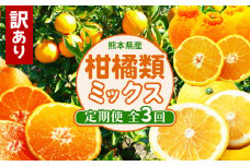 【 定期便 3回 】 おためし 訳あり 柑橘類 定期便 みかん 不知火 河内晩柑 後藤農園 | フルーツ 果物 くだもの 柑橘 ご家庭用 家庭用 熊本県 玉名市