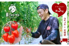 【定期便2回】 坂本農園 の ミニトマト ・ トマトベリー ( 3kg × 2ヶ月 ) | 野菜 やさい トマト とまと ハート 定期 定期便 熊本県 玉名市