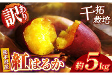 干拓栽培 の さつまいも 訳あり 紅はるか 約 5kg | 野菜 やさい 芋 いも さつまいも サツマイモ 訳あり 訳アリ 5キロ 大容量 熊本県 玉名市