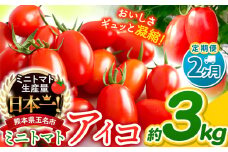 【 定期便 2回 】ミニトマト アイコ 約 3kg サザキ農園 | 野菜 やさい トマト とまと ミニトマト アイコ 熊本県 玉名市 生産量 日本一 玉名市 !!