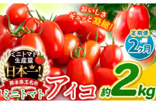 【 定期便 2回 】ミニトマト アイコ 約 2kg サザキ農園 ｜ 野菜 トマト 熊本 サザキ農園 ミニトマト 生産量 日本一 玉名市 !! くまもと たまな