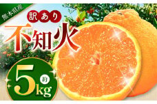 こだわり栽培 訳あり 不知火 約 5kg iFARM 岩城農園 | フルーツ 果物 くだもの 柑橘類 柑橘 不知火 しらぬい 訳アリ ご家庭用 家庭用 5キロ 熊本県 玉名市