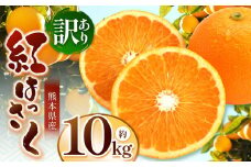こだわり栽培 訳あり 紅八朔 約 10kg iFARM 岩城農園 | フルーツ 果物 くだもの 柑橘類 柑橘 べにはっさく 八朔 訳アリ ご家庭用 家庭用 10キロ 熊本県 玉名市