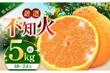 こだわり栽培 厳選 不知火 約 5kg （18～24玉）  iFARM 岩城農園 | フルーツ 果物 くだもの 柑橘類 柑橘 不知火 しらぬい 5キロ 熊本県 玉名市