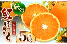 こだわり栽培 厳選 紅八朔 約 5kg iFARM 岩城農園 | フルーツ 果物 くだもの 柑橘類 柑橘 べにはっさく 八朔 5キロ 熊本県 玉名市