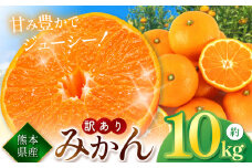こだわり栽培 訳あり みかん 約 10kg iFARM 岩城農園 | フルーツ 果物 くだもの 柑橘類 柑橘 みかん ミカン 訳アリ ご家庭用 家庭用 10キロ 熊本県 玉名市