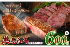 熊本県産 黒毛和牛 モモ ステーキ 約 600g | 肉 にく お肉 おにく 牛 牛肉 和牛 モモステーキ 600グラム 熊本県 玉名市