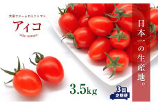 【定期3回】『大家ファーム』のミニトマト アイコ 3.5kg×3回 ｜ 野菜 やさい とまと トマト ミニトマト アイコ 熊本県 玉名市
