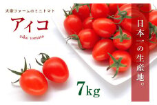『大家ファーム』のミニトマト アイコ 3.5kg × 2箱 | 野菜 やさい ヤサイ トマト とまと ミニトマト 7kg 大家ファーム 熊本県 玉名市