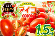 ミニトマト 生産量 日本一 玉名市 !！アイコトマト 約 1.5kg ｜ 野菜 やさい トマト とまと アイコ 人気 熊本県 玉名市