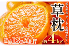 プレミアム温州 みかん 「 草枕 」 約 4kg | 果物 くだもの フルーツ 柑橘 柑橘類 温州みかん ミカン 旬 味覚 熊本県 玉名市