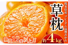 プレミアム温州 みかん 「 草枕 」 約 4kg | 果物 くだもの フルーツ 柑橘 柑橘類 温州みかん ミカン 旬 味覚 熊本県 玉名市