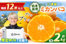 糖度１２度以上を厳選 三津家の ミカンバコ | フルーツ 果物 くだもの 柑橘 柑橘類 みかん 温州みかん ミカン オリジナル グッズ 三津家 セット 熊本県 玉名市