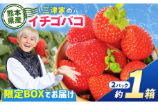 三津家の イチゴバコ | フルーツ 果物 くだもの いちご イチゴ 苺 オリジナル グッズ 三津家 セット 熊本県 玉名市