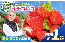 三津家の イチゴバコ | フルーツ 果物 くだもの いちご イチゴ 苺 オリジナル グッズ 三津家 セット 熊本県 玉名市