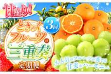 【 定期便 3回  】 甘盛り！ ときめくフルーツの三重奏 | 果物 くだもの フルーツ シャインマスカット みかん いちご 定期 熊本県 玉名市