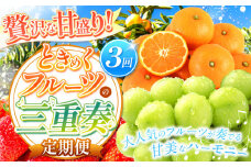 【 定期便 3回  】 贅沢な甘盛り！ ときめくフルーツの三重奏 | 果物 くだもの フルーツ シャインマスカット みかん いちご 定期 熊本県 玉名市